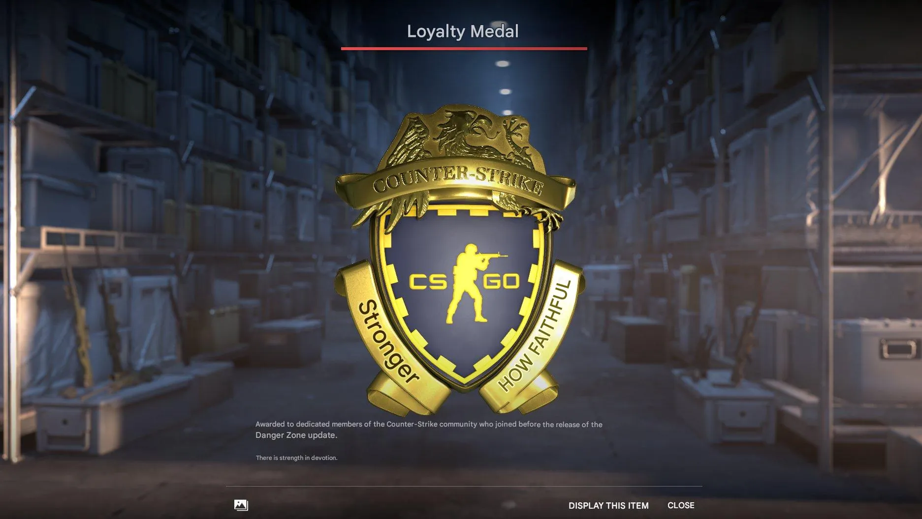 CS263 Prime Purchased 10 Year Veteran Coin, 5 Year Veteran Coin, Loyalty Badge, Global Offensive Badge | Valve CS:GO Music Kit.  